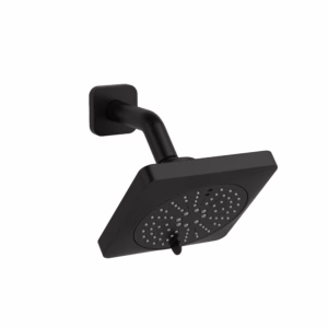 RIOBEL | Black 5" 6-Function Showerhead With Arm