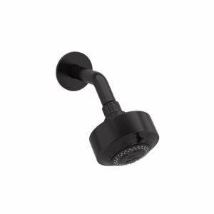 RIOBEL | Black 4" 3-Function Showerhead With Arm