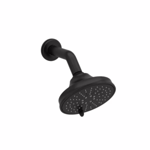 RIOBEL | Black 5" 6-Function Showerhead With Arm