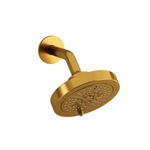 RIOBEL | Brushed Gold 6" 6-Function Showerhead With Arm