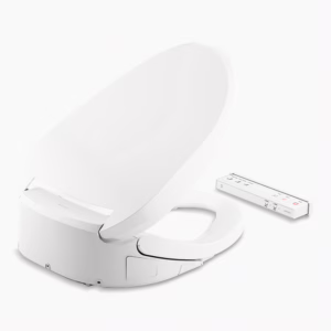 White  Bidet Toilet Seat