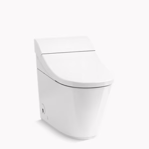 White  Toilet