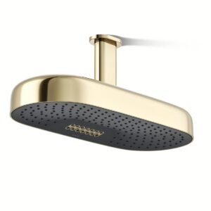 Kohler 26297-AF | Statement Gold STATEMENT™ 2F 18 DPMSG RAINHEAD