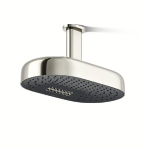 Kohler 26295-SN | Statement Polished Nickel STATEMENT™ 2F 14 DPMSG RAINHEAD