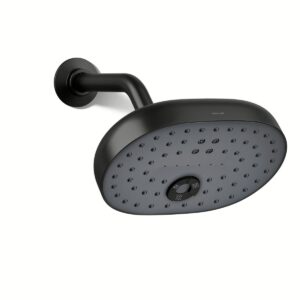 Kohler 26290-BL | Statement Black STATEMENT™ MF SHOWERHEAD