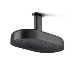 Kohler 26295-G-BL | Statement Black STATEMENT™ 2F 14 DPMSG RAINHEADG