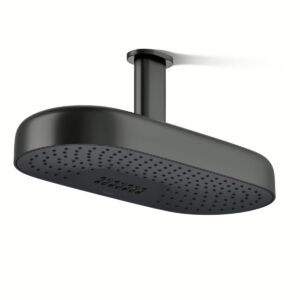 Kohler 26297-BL | Statement Black STATEMENT™ 2F 18 DPMSG RAINHEAD
