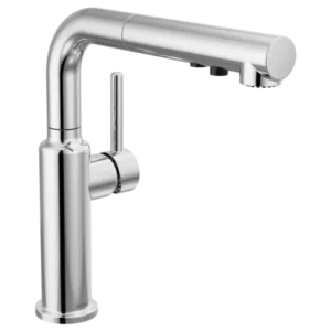 Delta Polished Chrome Daneri™ Pull-Out