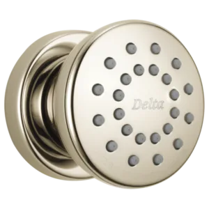 Delta Polished Nickel Other Body Spray / Body Jet