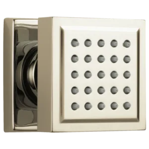 Delta Polished Nickel Other Body Spray / Body Jet