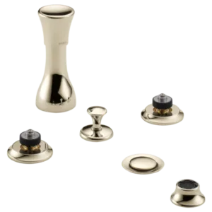 Brizo Polished Nickel Rook® Bidet