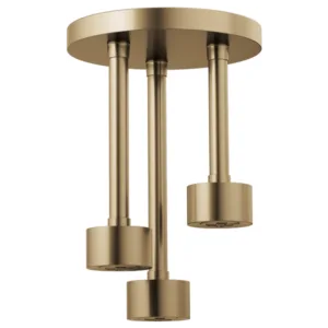Brizo Luxe Gold Essential Shower Shower Head