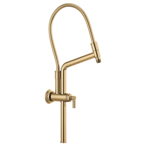 Brizo Polished Gold Essential™ Shower Shower Arm
