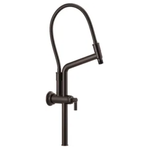 Brizo Venetian Bronze Essential™ Shower Shower Arm