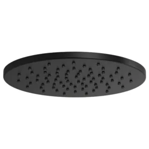 Brizo Matte Black Essential™ Shower Shower Head