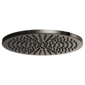 Brizo Brilliance Black Onyx Other Shower Head