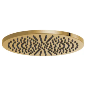 Brizo Polished Gold Essential™ Shower Shower Head