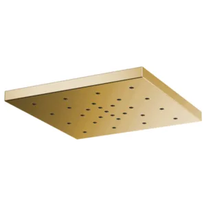 Brizo Polished Gold Essential™ Shower Shower Head