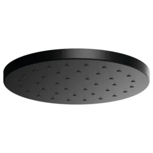 Brizo Matte Black Essential™ Shower Shower Head