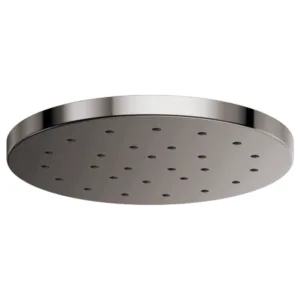 Brizo Brilliance Black Onyx Essential™ Shower Shower Head