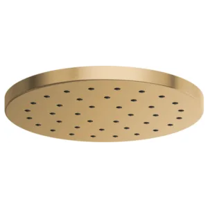 Brizo Luxe Gold Essential Shower Shower Head