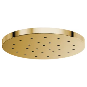 Brizo Polished Gold Essential™ Shower Shower Head