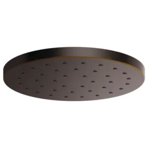 Brizo Venetian Bronze Essential™ Shower Shower Head