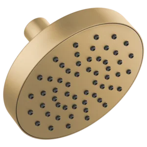 Brizo Luxe Gold Essential Shower Shower Head