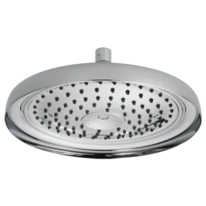 Brizo Polished Chrome Essential™ Shower Shower Head
