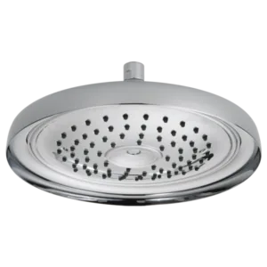 Brizo Polished Chrome Essential™ Shower Shower Head
