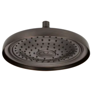 Brizo Venetian Bronze Essential™ Shower Shower Head