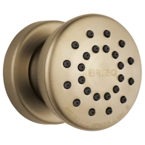 Brizo Luxe Gold Essential Shower Body Spray / Body Jet