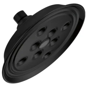Brizo Matte Black Essential™ Shower Shower Head