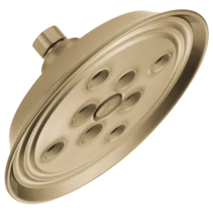 Brizo Luxe Gold Essential Shower Shower Head