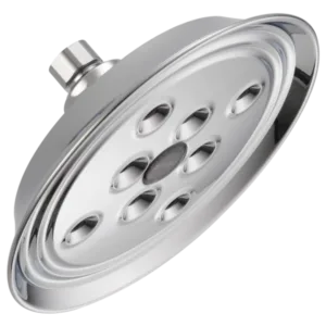 Brizo Polished Chrome Essential™ Shower Shower Head
