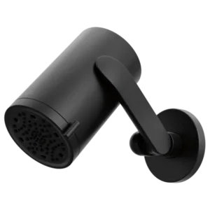 Brizo Matte Black Roccesco™ Shower Head