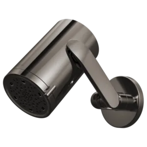 Brizo Brilliance Black Onyx Roccesco™ Shower Head