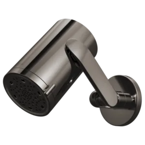 Brizo Brilliance Black Onyx Roccesco™ Shower Head