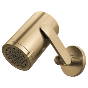 Brizo Luxe Gold Roccesco Shower Head