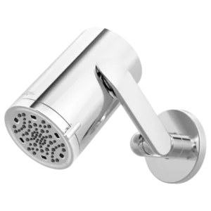 Brizo Polished Chrome Roccesco™ Shower Head