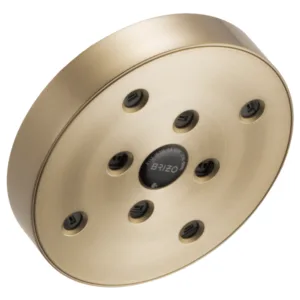 Brizo Luxe Gold Essential Shower Shower Head