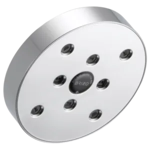 Brizo Polished Chrome Essential™ Shower Shower Head