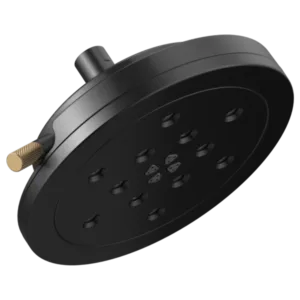 Brizo Matte Black/Luxe Gold Litze Shower Head