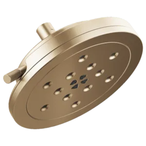 Brizo Luxe Gold Litze Shower Head
