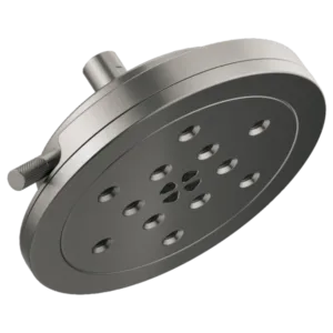 Brizo Luxe Steel Litze® Shower Head