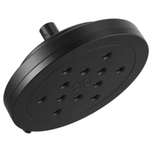 Brizo Matte Black Other Shower Head