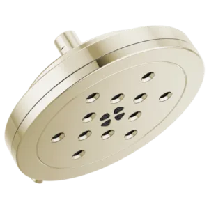 Brizo Polished Nickel Other Shower Head