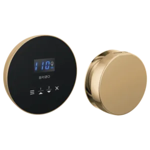 Brizo Polished Gold Other Steam Control Kit