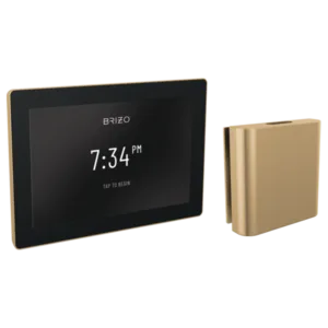 Brizo Luxe Gold Other Steam Control Kit