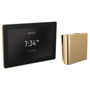 Brizo Polished Gold Other Steam Control Kit